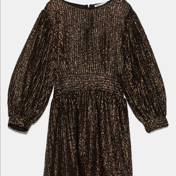 Zara Printed Sequin Dress Floral Embroidered Zara Printed Sequin Dress  RUFFLED SEQUIN FLORAL